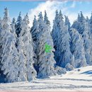 눈이야기 이미지