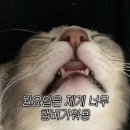 씨유송도플러스점 | 한달이나 남았는데 공부를 해야할까