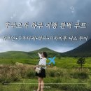 1583 | 후쿠오카 여행 후기 유후인 당일 버스투어 인디고 트래블로 떠난 내돈내산 후기