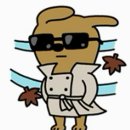 경보상회 | 말해 어디든 난 가지 행복을 찾아서 🏄‍♀️