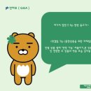 폭스스토리