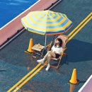 서길 엔터테이먼트 JTBC
