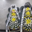 조앤조연합치과의원 이미지