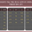 애플트리바운스