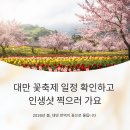 [남부] (야간)간단한끼요리(2025) | 대만 꽃축제 일정 확인하고 인생샷 찍으러 가요