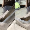 감자와 맛동산 이미지