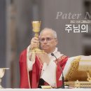 [Pater Noster 라틴어 주님의 기도] 레오14세 교황님과 함께 바치는 주님의 기도 이미지