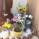 백양음악학원 이미지