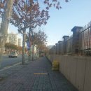 신흥고교 정류장 이미지