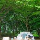 빛고을 산들길 | 광주 시민의 숲 야영장 | 주말 2만원 첨단 캠핑장 추천 배달 가능 평일 피크닉 나들이 자동차 야영장 33번