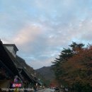 삼화쉼터식당 | 동해 두타산 무릉계곡 단풍 코스 포토존 맛집 꿀팁