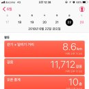 보기스시 이미지