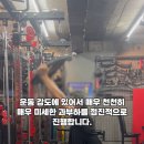 바오핏가락문정 이미지