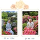 노틀담어린이집 이미지