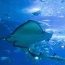 우도랜드 이미지