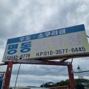 소쿠리섬1 | 야생의 사슴이 나타난 진해 소쿠리섬 애견동반후기(명동선착장)