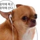 분이매점