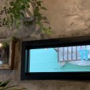 (주)왕왕 이미지