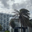 동일가든 | 나트랑 스파, 임산부 마사지, 마사지샵 내돈내산 솔직비교 후기-센스파, 가든스파, 오션스파