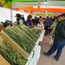 해안면힐링하우스 이미지