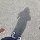 치킨더홈 하양점 | 덕질과 함께하는 시험기간