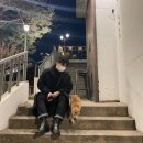 [Review] 리뷰 :: 라퍼지스토어 울리치 발마칸 코트 3년 입은 후기 및 코디 추천