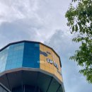 [익산] 영등동 타이마사지 족욕부터 전신 마사지까지 80타이 엄마랑 다녀온 실제 후기