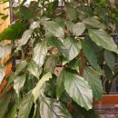 부자목장 이미지