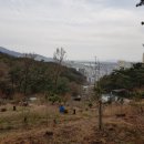 녹산농원 이미지