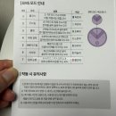 이중턱 관리 발란스핏 브이라인 EMS 밴드 후기