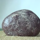 석향