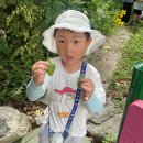 숲아이유치원 | 5살 숲 유치원 1년 후기 장, 단점