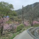 단지골 농장 Daum카페