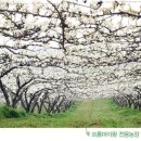 성운농장 이미지