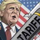 &#34;금융위기·코로나 때보다 심각&#34;...&#39;관세폭탄&#39;에 동남아·인도 증시 &#39;휘청&#39; 이미지