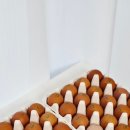 홍천자연랜드 이미지