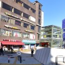 백합주단 이미지