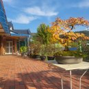 편백하우스 이미지