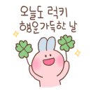 놀뫼세탁소 이미지