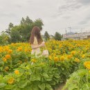 고을커피
