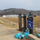 DMZ평화의길 15-1코스 3부 : 철원평야 엉겅퀴꽃과 한탄강 주상절리 이미지