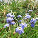 선암농장 이미지