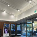 엘리시안CC | 엘리시안 강촌 CC 라운드 후기