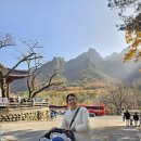 비룡화장실(비룡폭포가동 화장실) | 설악산 비룡폭포 6세 아이랑 등산코스 유모차 주차 화장실 후기