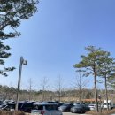 설해원 리조트 온천스튜디오 산책 조식 후기 (24년 4월)