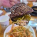 육사시미 콘서트 3 이미지