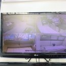 캐비어동물메디컬센터 이미지