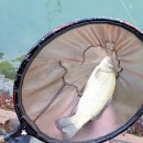 배내미낚시터 이미지