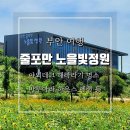 마루아라 하우스 이미지