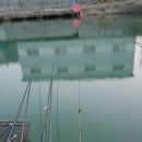 못말낚시터 이미지